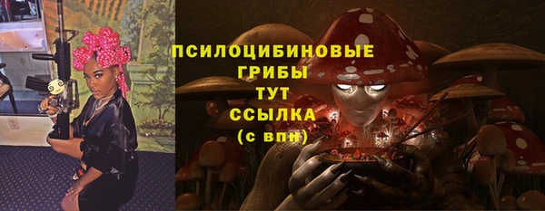 шишки Баксан