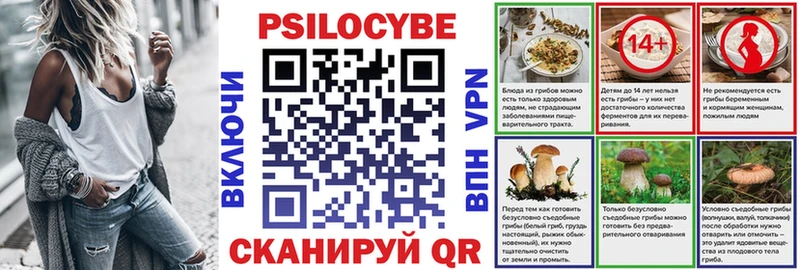 закладка  Озёры  kraken как войти  Галлюциногенные грибы MAGIC MUSHROOMS 