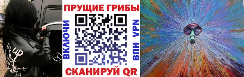 Галлюциногенные грибы ЛСД Озёры